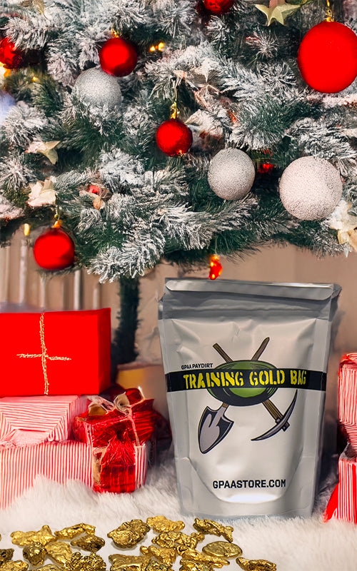 Training_Bag_under_the_tree_71a458f7-52d7-4361-9f5d-938855b1f118